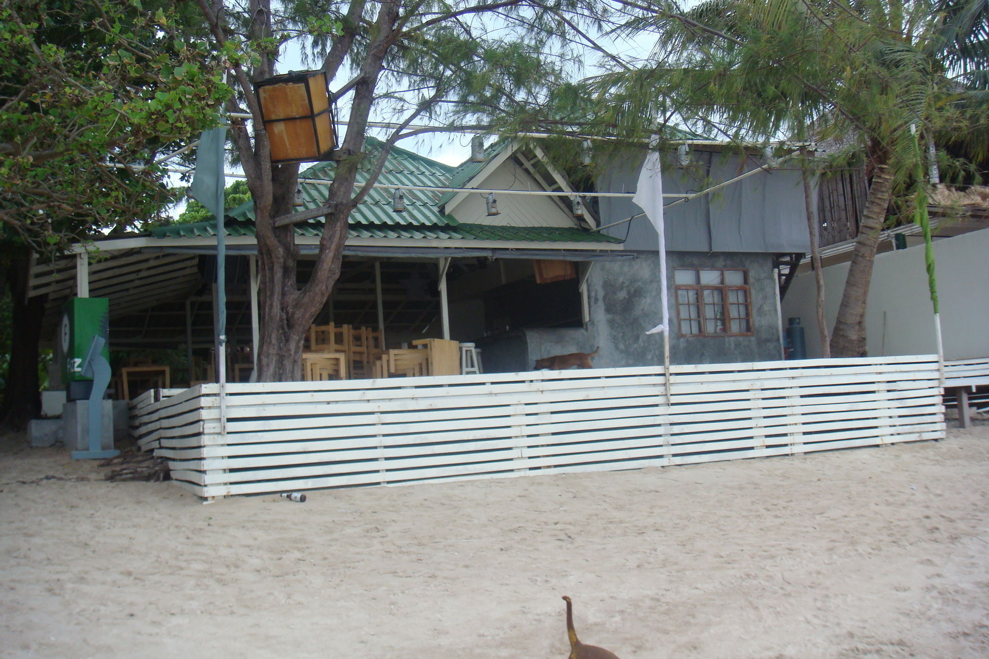 Silver Sands Beach Resort Ko Tao Ngoại thất bức ảnh
